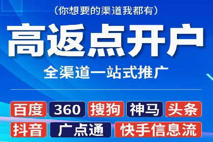 百度竞价包年推广策略——某行业巨头的成功经验